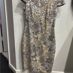 Elegant Silver Sequin Dress